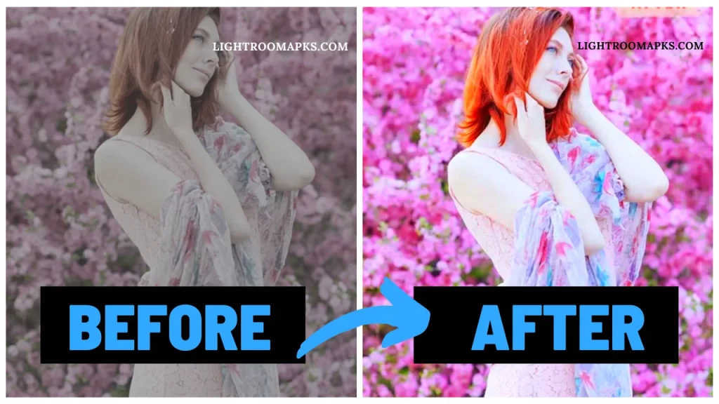 Camellia Lightroom Presets For Mobile & Desktop lightroomapks.com