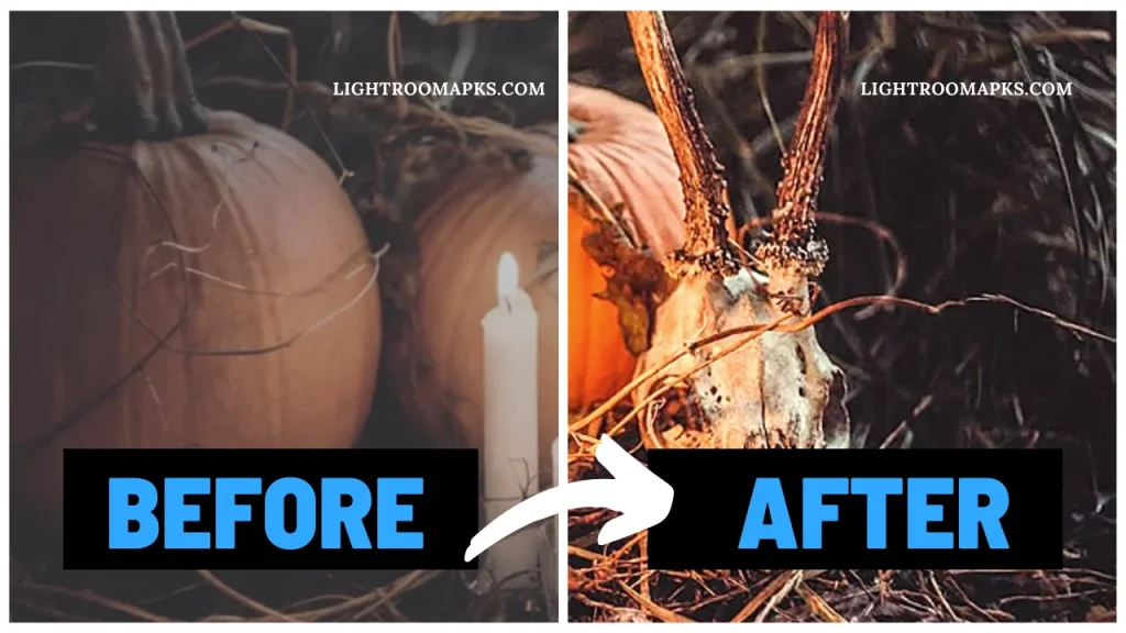 Halloween Lightroom Presets For Desktop Free Download lightroomapks.com
