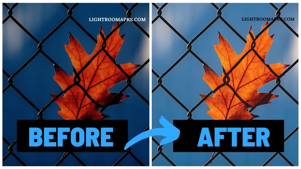 Marmalade Mobile & Desktop Lightroom Presets lightroomapks.com